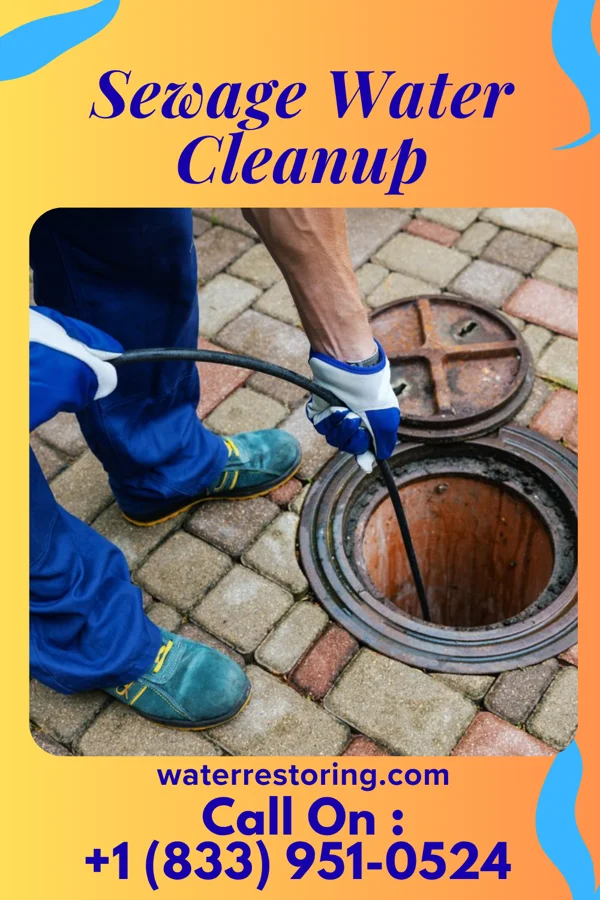 Sewage Water Cleanup in Bunker Hill, IL